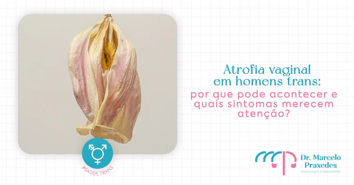 Atrofia vaginal em homens trans: por que pode acontecer e quais sintomas merecem atenção?